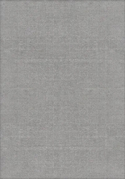 Art Silk Rug