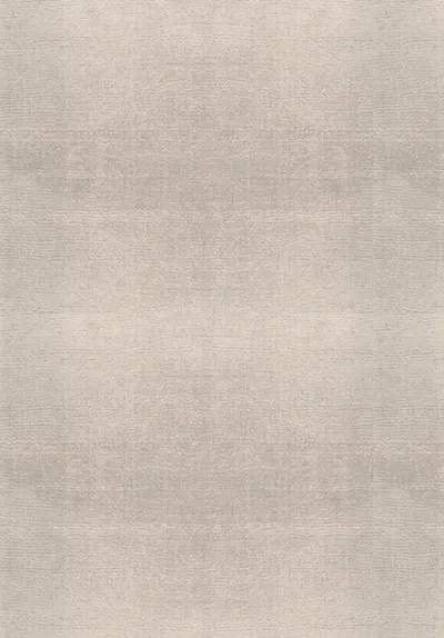 Art Silk Rug
