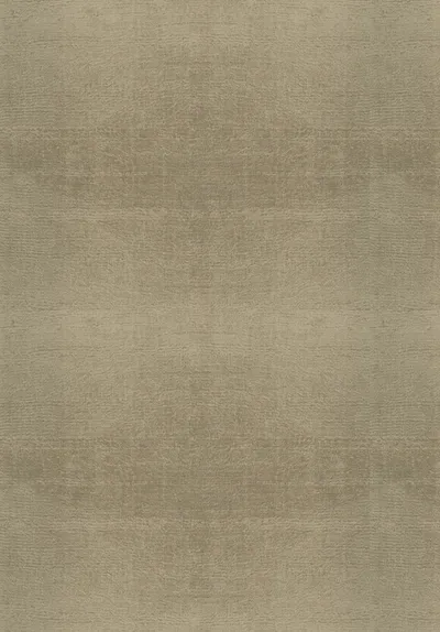 Art Silk Rug